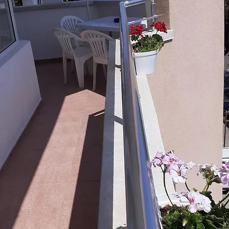 смокиня Obzor