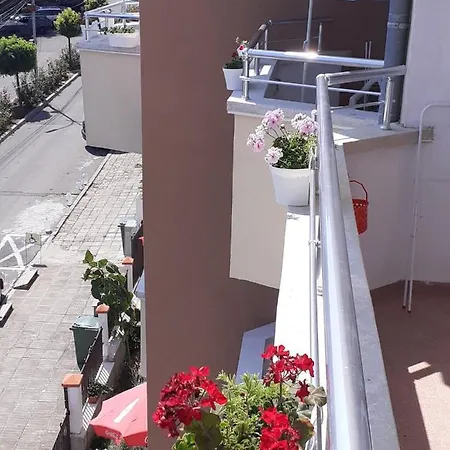 смокиня 3* ابزور