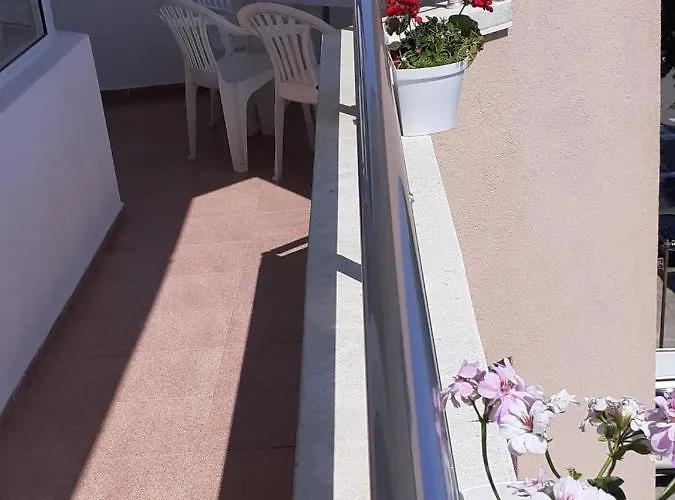 смокиня Obsor