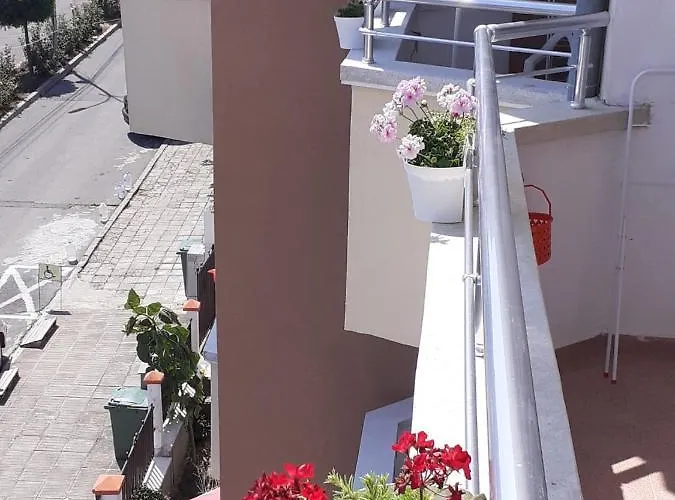 смокиня 3* Obsor