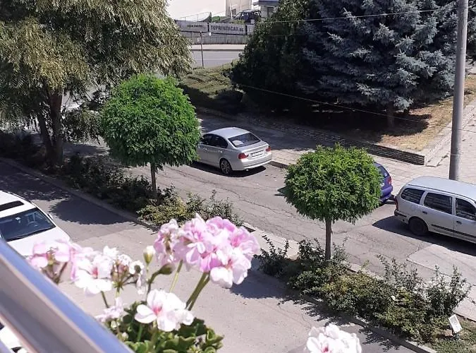 смокиня Penzion Obzor